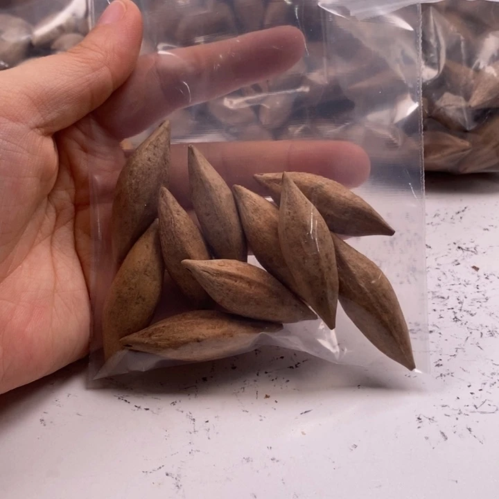 手串/手链橄榄核橄榄核雕