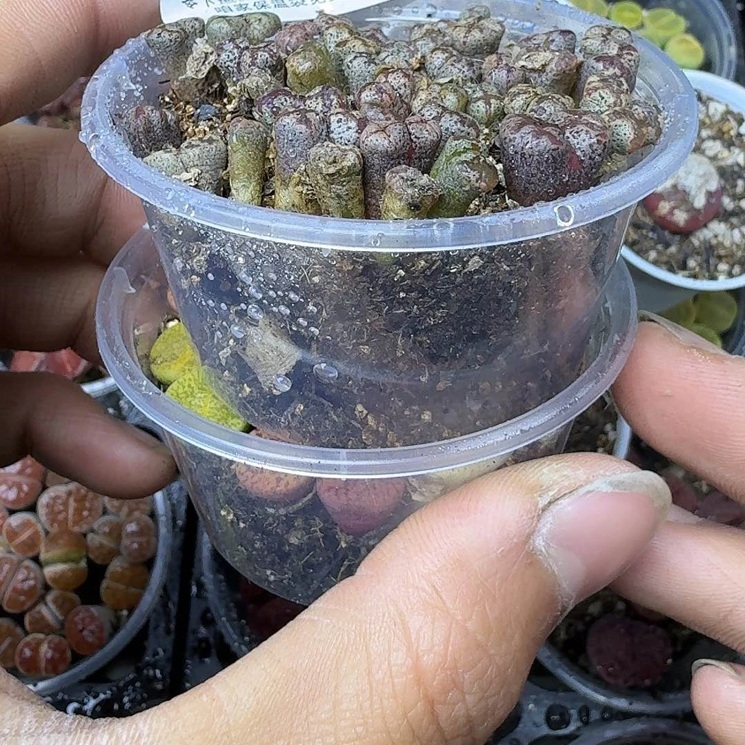 2204 哈哈哈哈哈哈哈哈哈哈