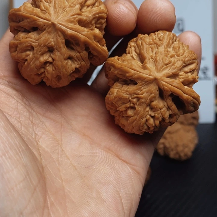 核桃42尺寸全品大粗筋