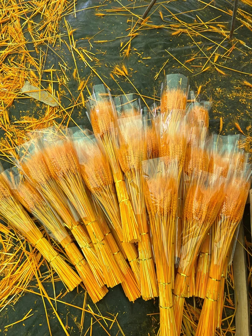 精品黄金大麦子干花diy开业花篮厂家整箱一万支批发永生麦穗开业