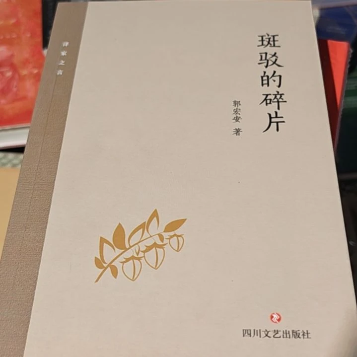 斑驳的碎片平装没塑封