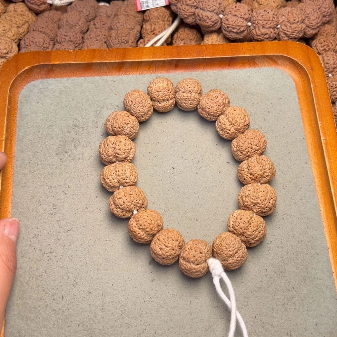 菩提1号金刚菩提熊猫菠萝蜜20+