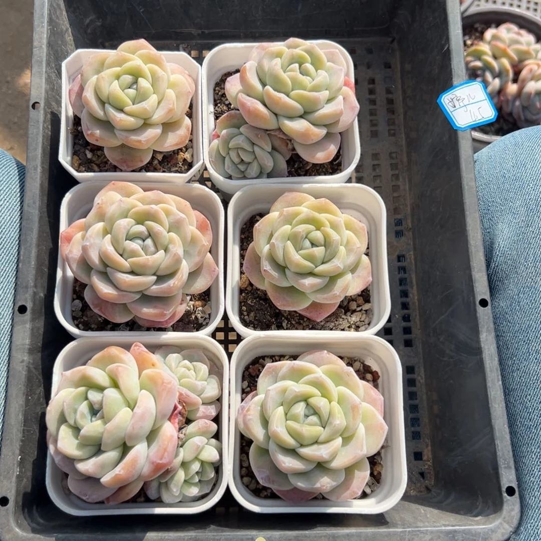 ?**?11111111111111111111