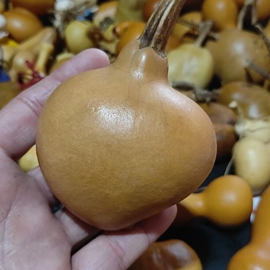 冷***天葫芦哈哈哈哈哈哈