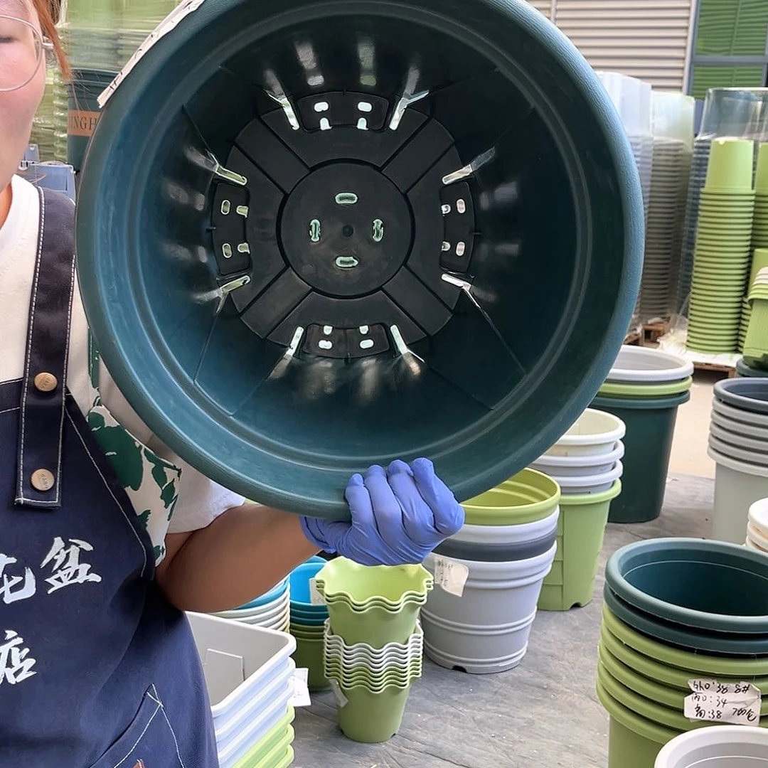 青山盆7#墨绿色5个无托