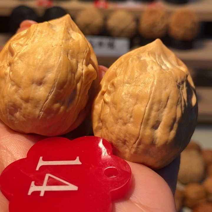 菩提籽类马头琴38尺寸