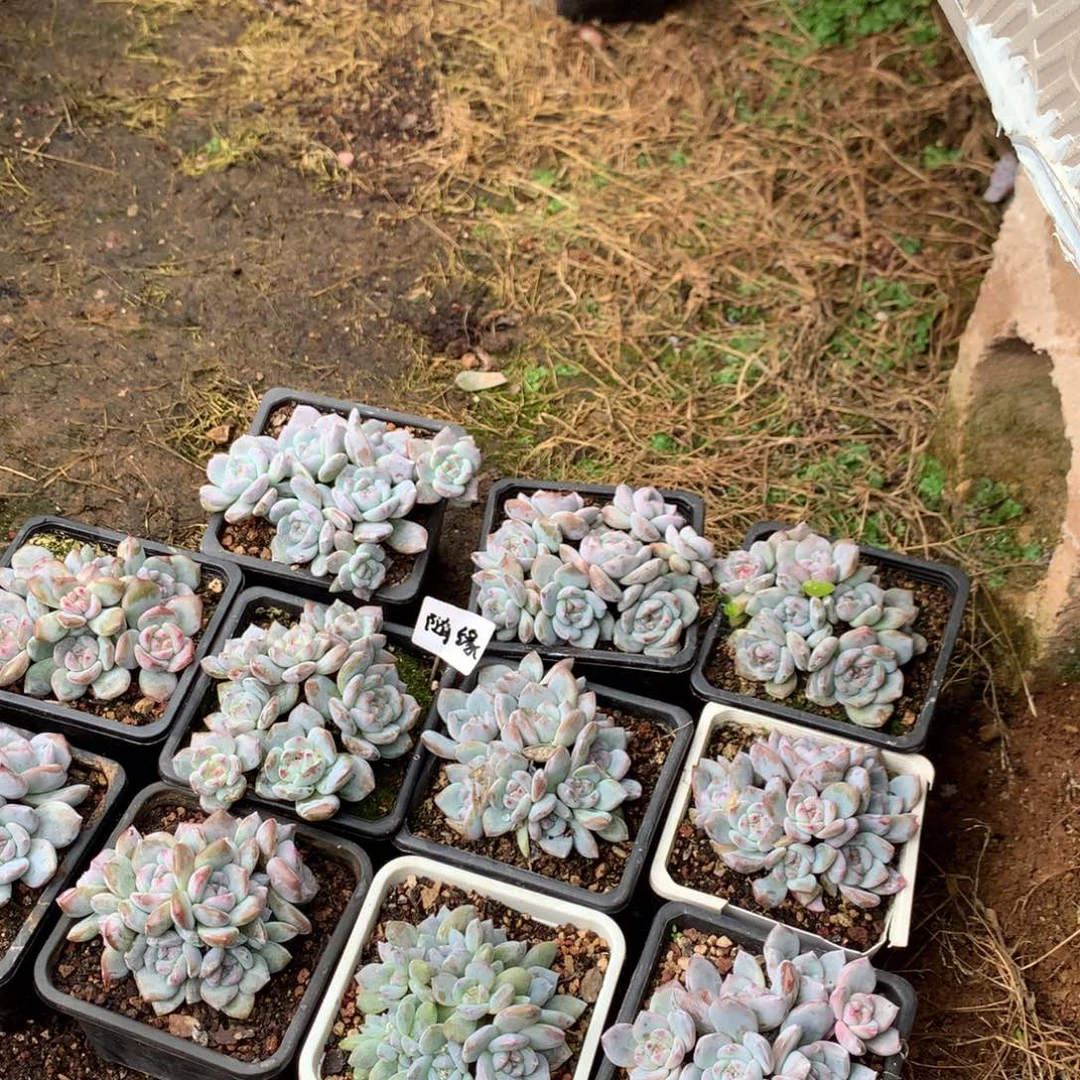 随***缘哈哈哈哈哈哈哈哈哈哈