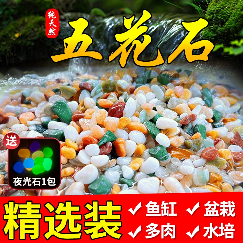 天然小彩石多肉盆栽铺面石子铺鱼缸专用雨花石头装饰原生底砂造景