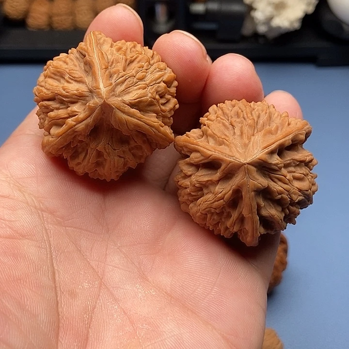 把件文玩核桃玉龙粗筋奔