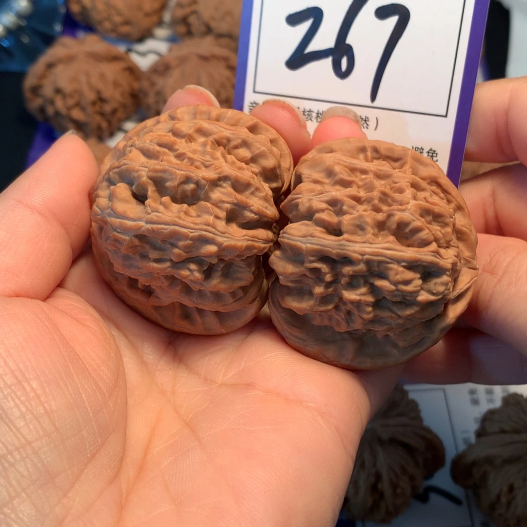 把件文玩核桃267白狮子4.5