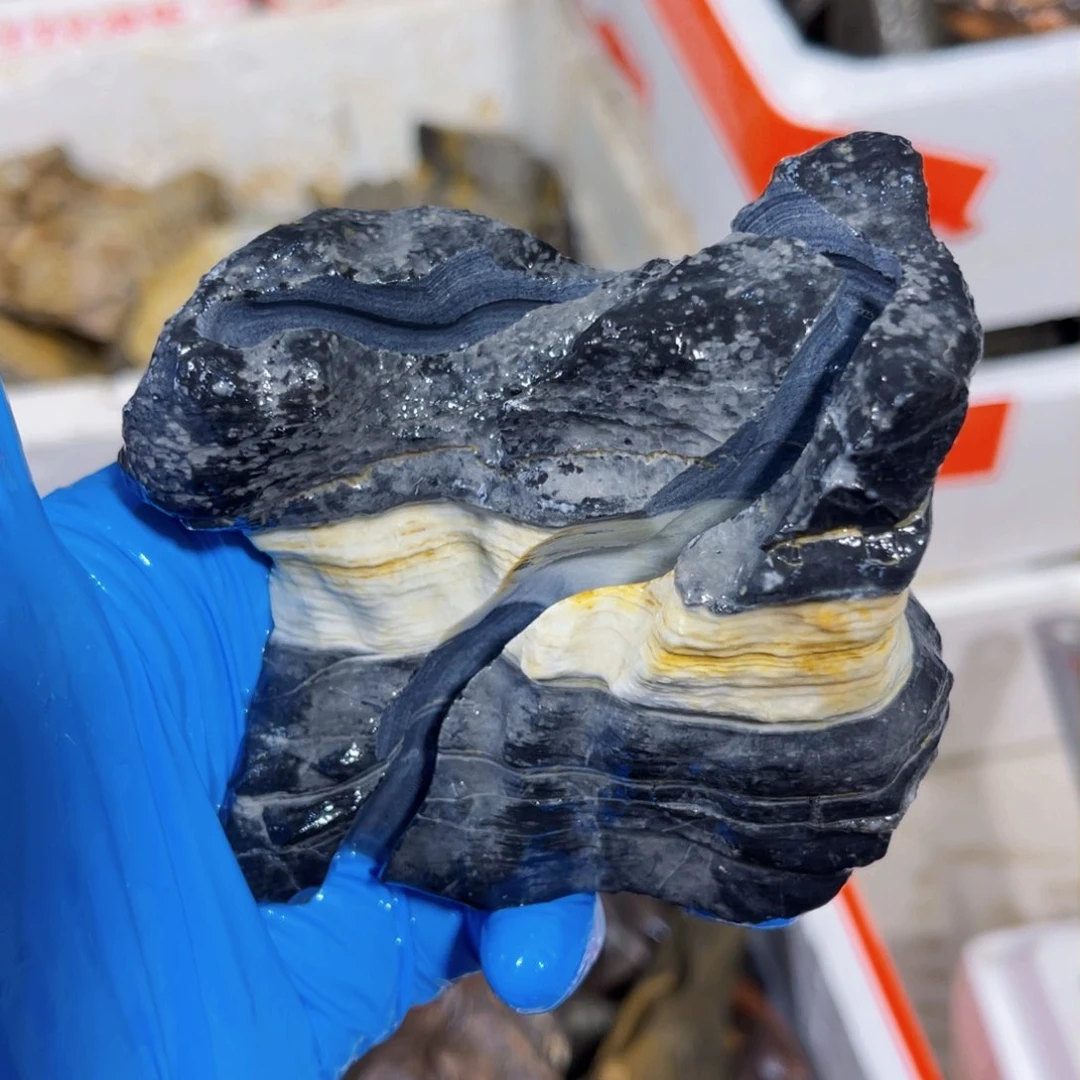 7**道附石盆景一物一拍