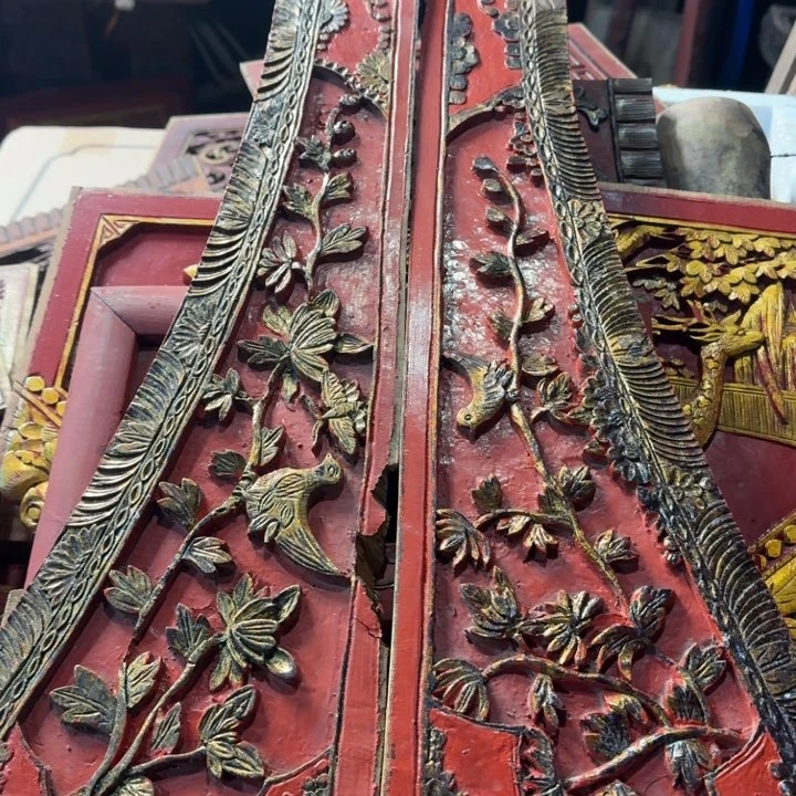 香榧木Y*动在干嘛，这就是