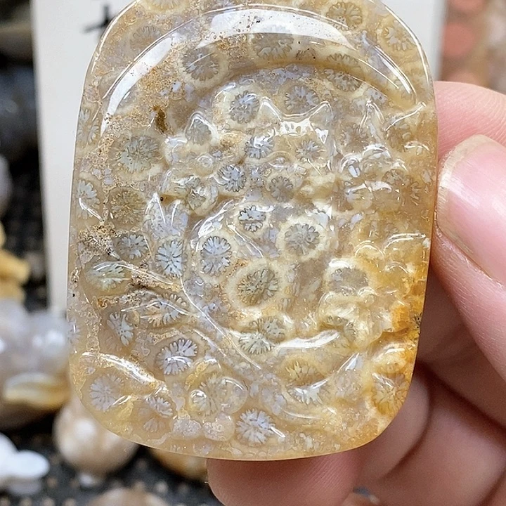 颈饰未镶嵌硅化珊瑚（珊瑚玉）有瑕