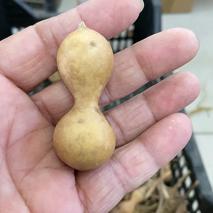 张***rd hui id h w ge g d