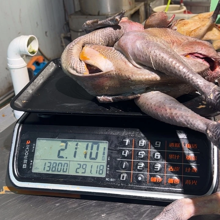 一号公鸡食用农产品中国大陆嘉*
