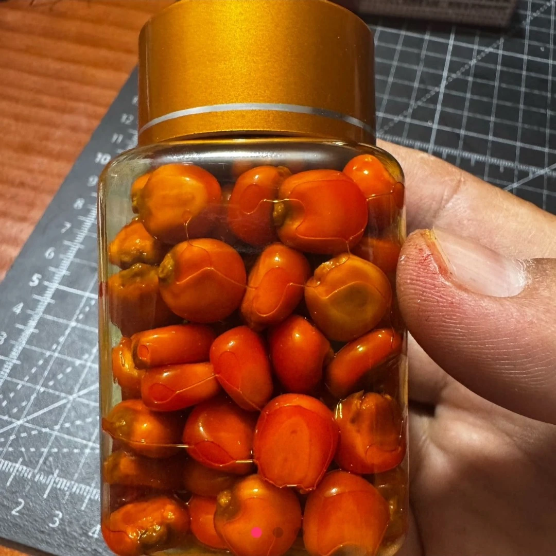 LXTHB大板牙挂饵钓鱼玉米粒主钓草鱼鲤鱼鳊鱼翘嘴玉米饵料鱼饵