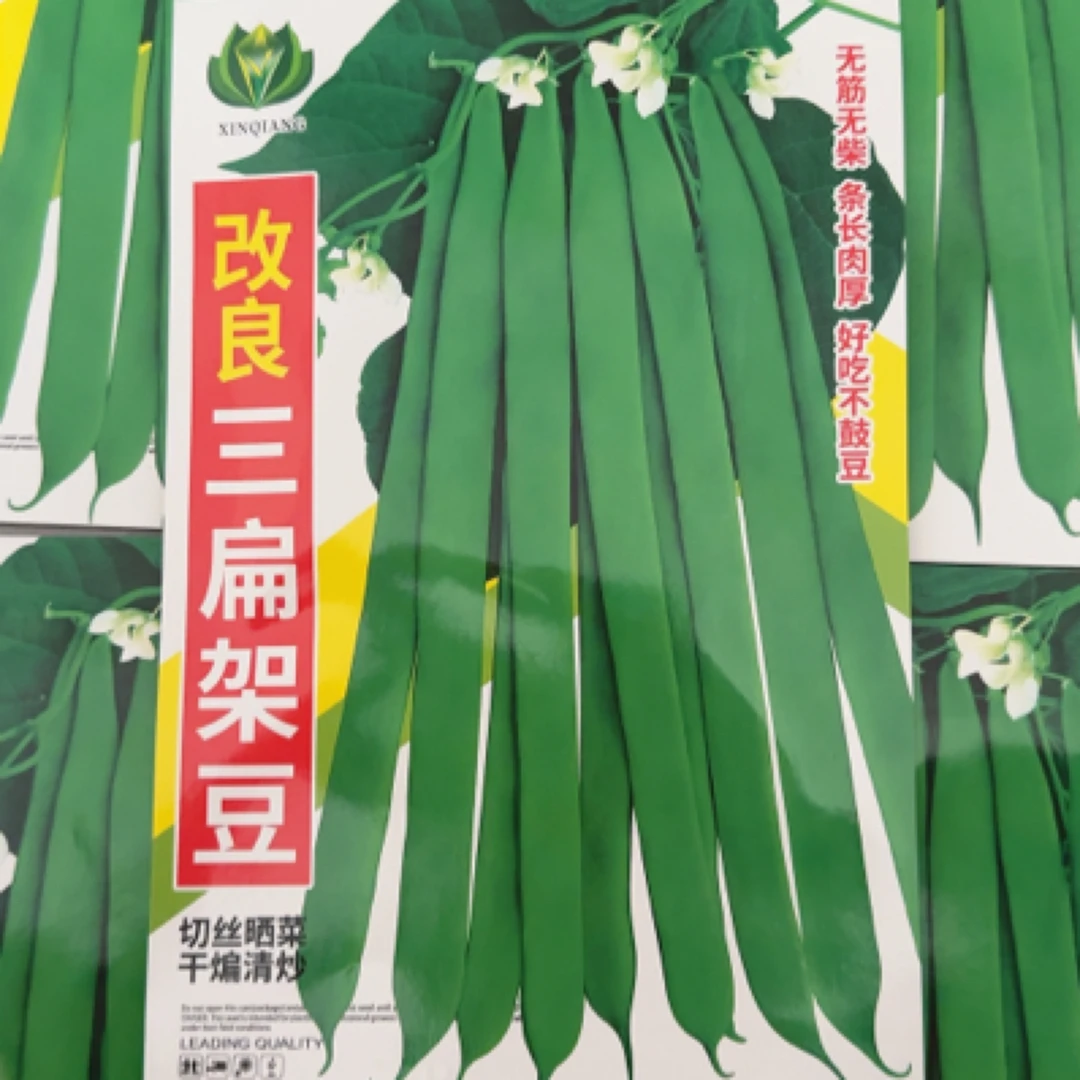 改良三扁架豆豆角种子（约50克）
