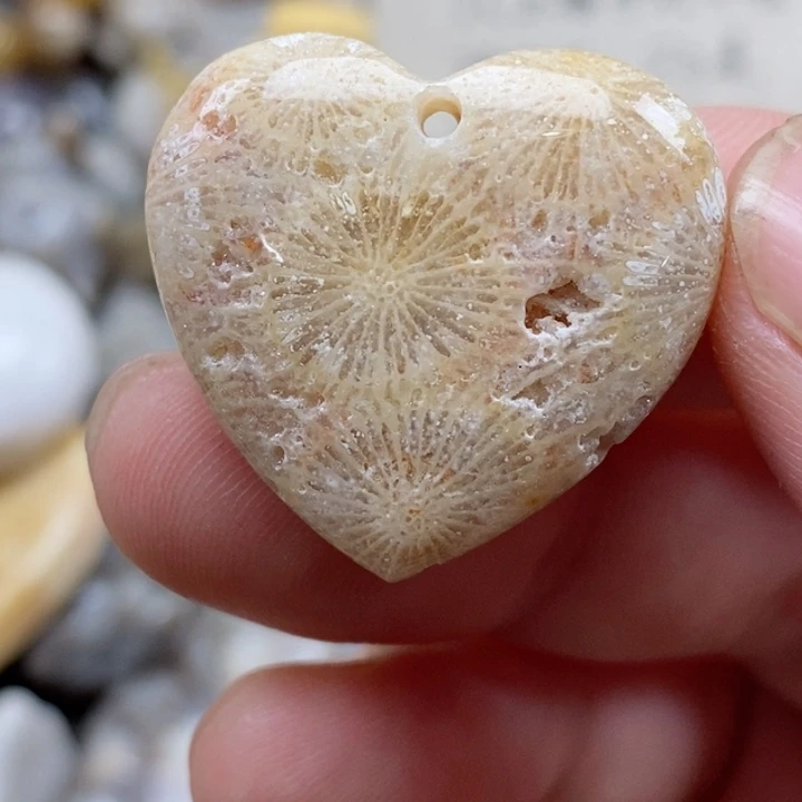 颈饰未镶嵌硅化珊瑚（珊瑚玉）有瑕 小