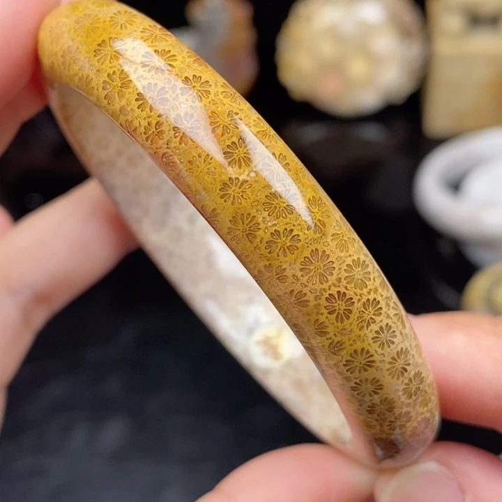 未镶嵌手镯硅化玉59.4