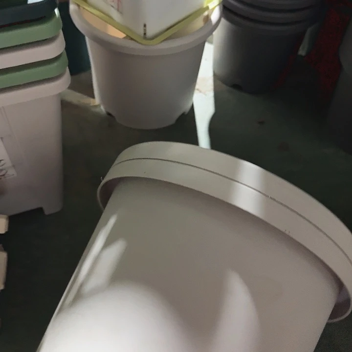 球根盆4号灰白无托5个