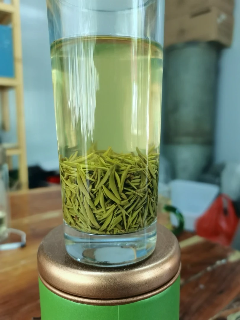 2025信阳毛尖明前手工小芽