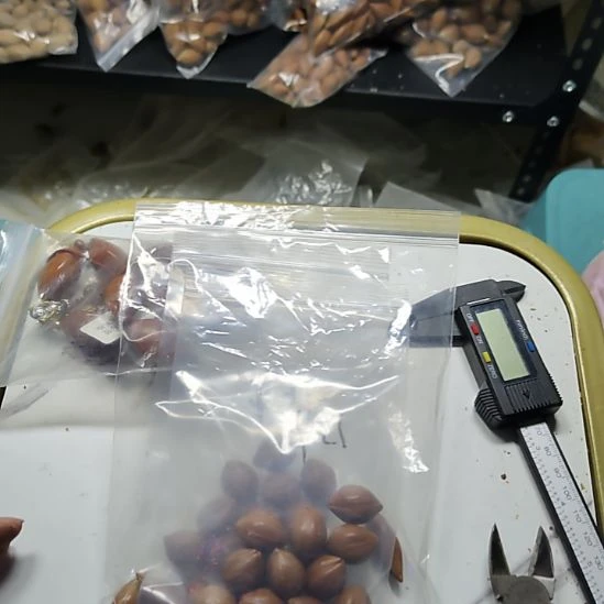 基***睿橄榄核吊坠散籽三包