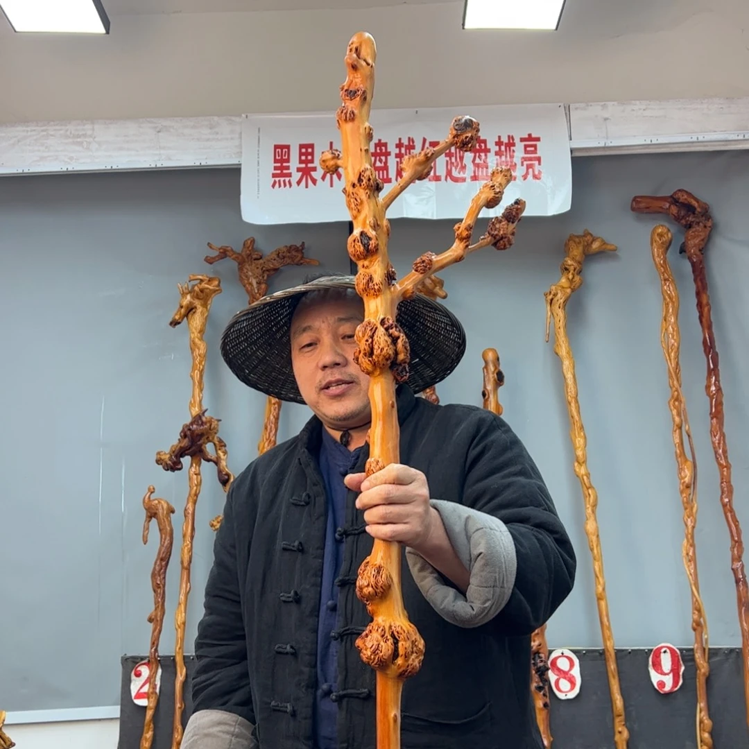 黑果木其他用****0黑果木534