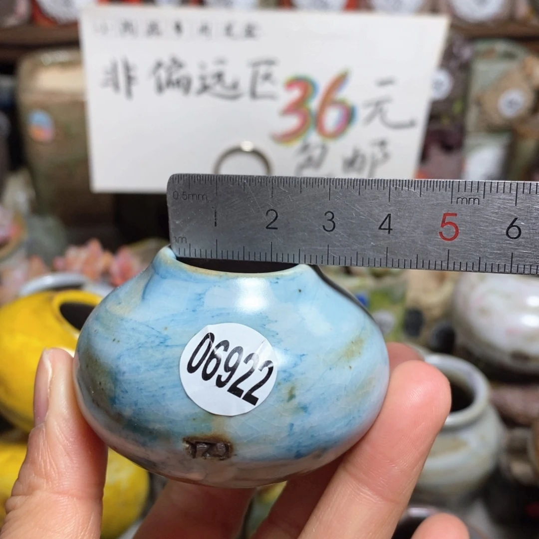 花盆拍5送一个小礼物