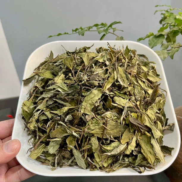 【荒野老枞寿眉】2022年雪后福鼎荒山老树白茶寿眉荒野茶500克