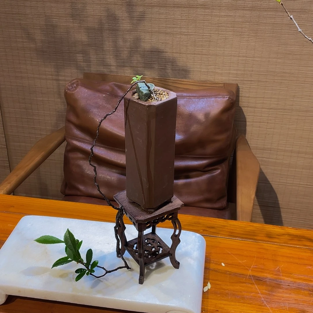 小*粥盆景路口58586