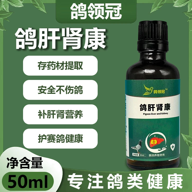 鸽领冠鸽肝肾康赛鸽肝精鸽药肉种信鸽强肝排毒护肝调理营养非鸽药