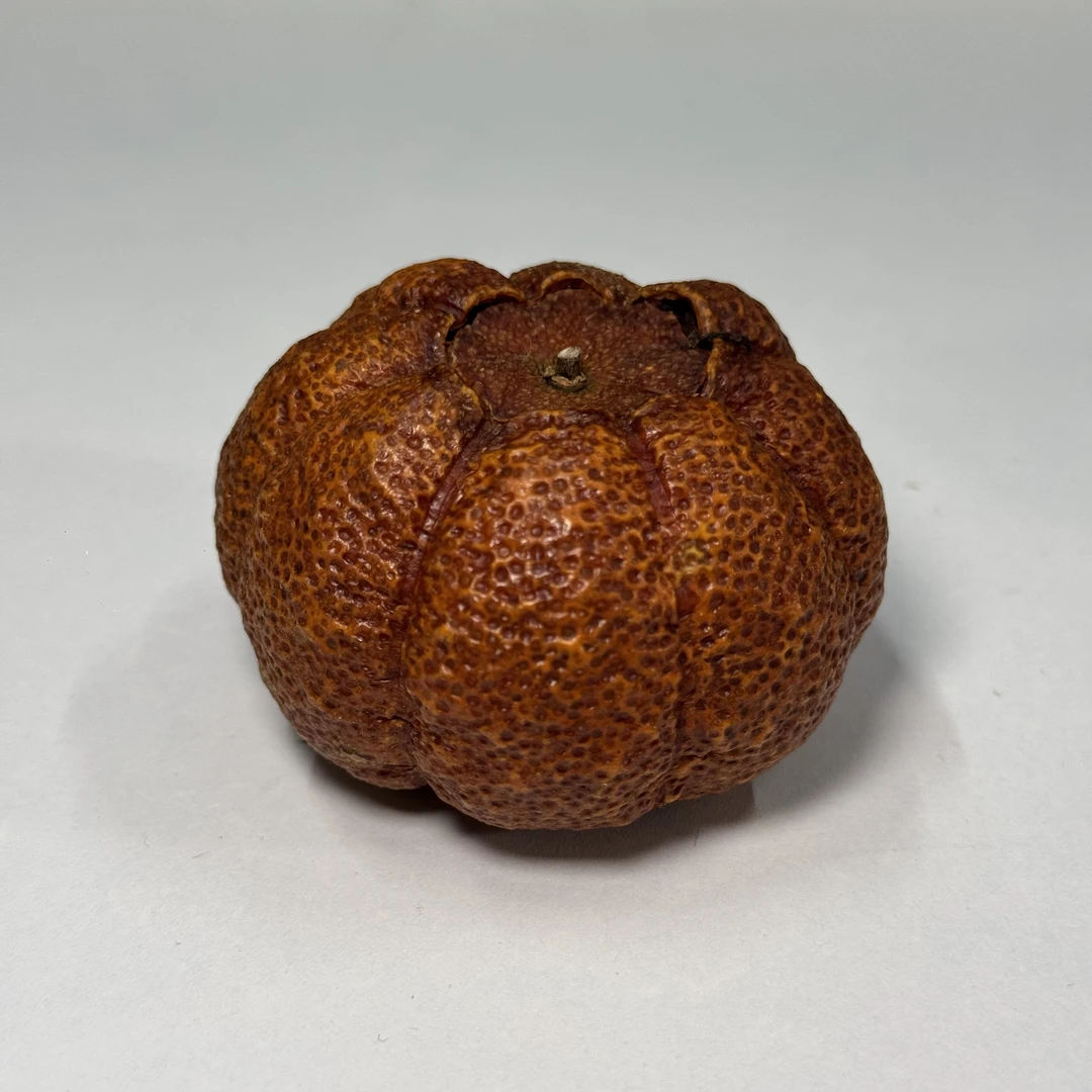 陈九佳2024【南瓜大红柑】红柑茶自然日晒青柑正宗小红柑茶