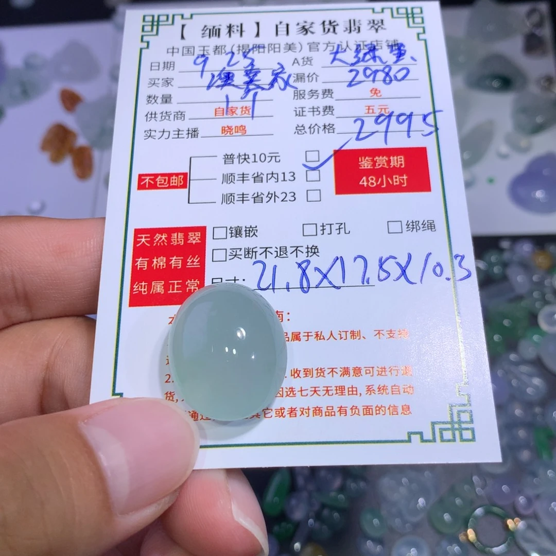 澳***家翡翠未镶嵌颈饰大绿蛋