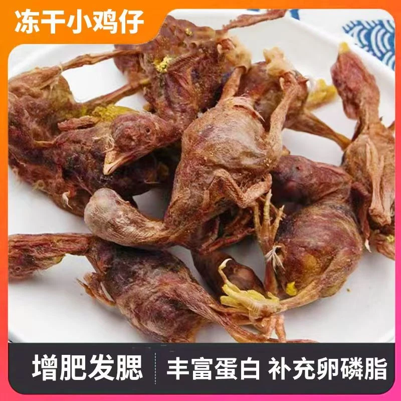 咪乐哆【小鸡仔】冻干小鸡仔非鹌鹑猫零食增肥发腮磨牙猫人参狗狗