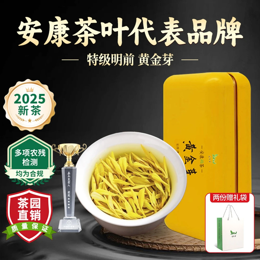 明前黄金茶茶叶嫩芽2025正宗新茶黄茶特级陕西安康富硒地原产