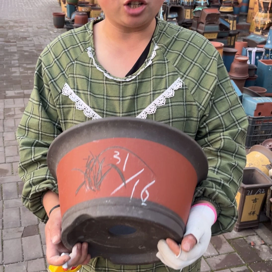 紫砂花盆紫砂花盆