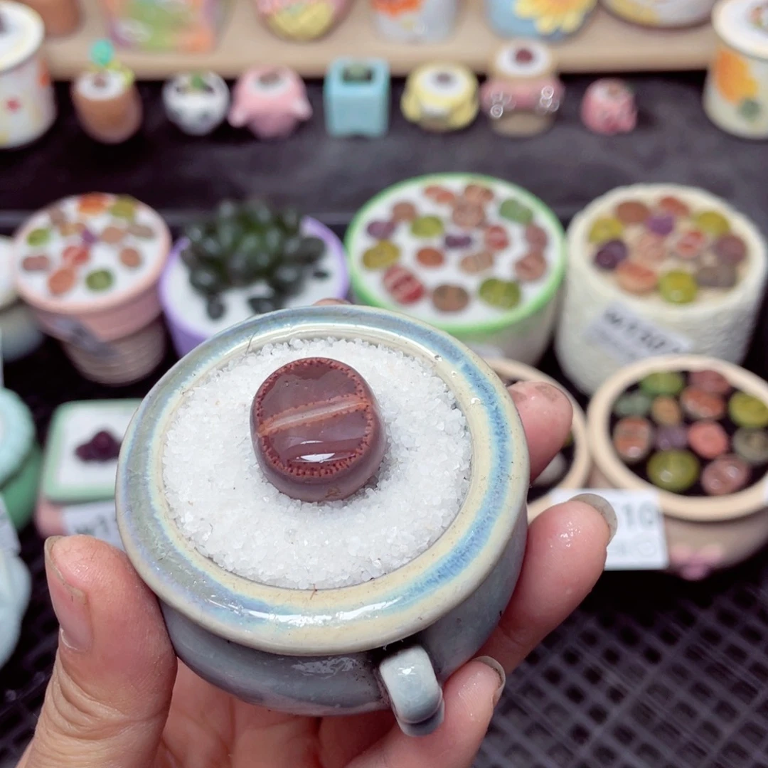 w1517 带盆土发货-零下地区拍保温箱