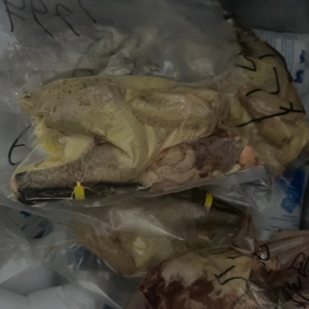 正宗农家土鸡 现称现卖 ，默认普通快递，顺丰需要补邮差