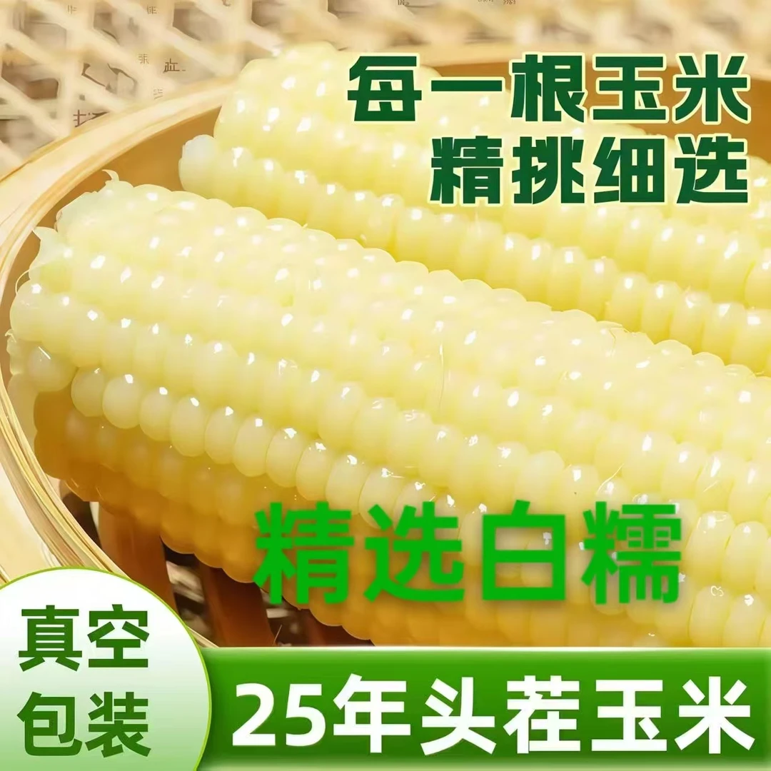 10根5.5-6斤东北白糯玉米金箔真空包装大棒新鲜甜糯饱腹——试吃2根