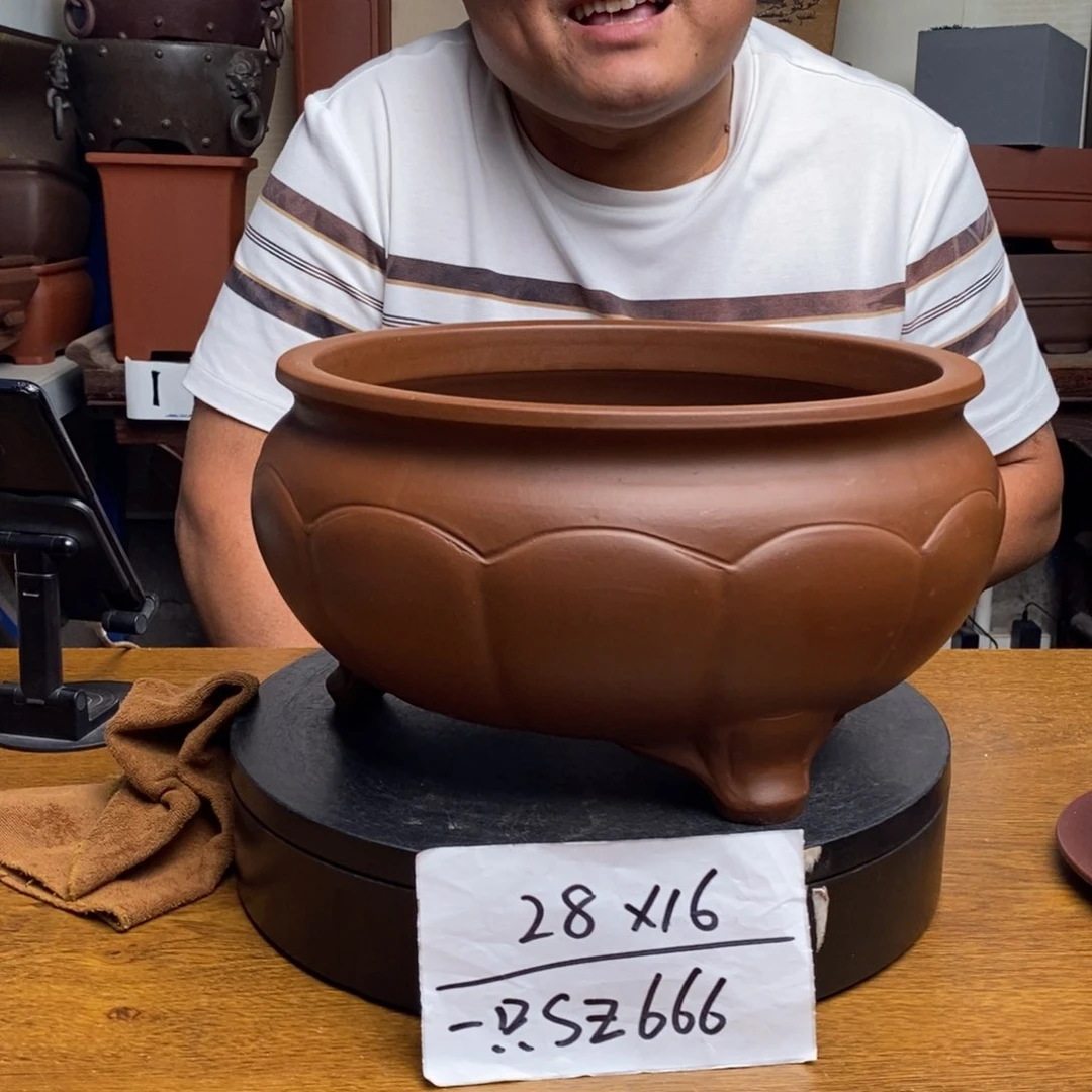 紫砂货号一只SZ666