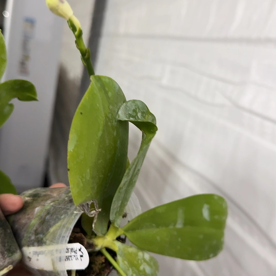 完全开放－*云原生福利