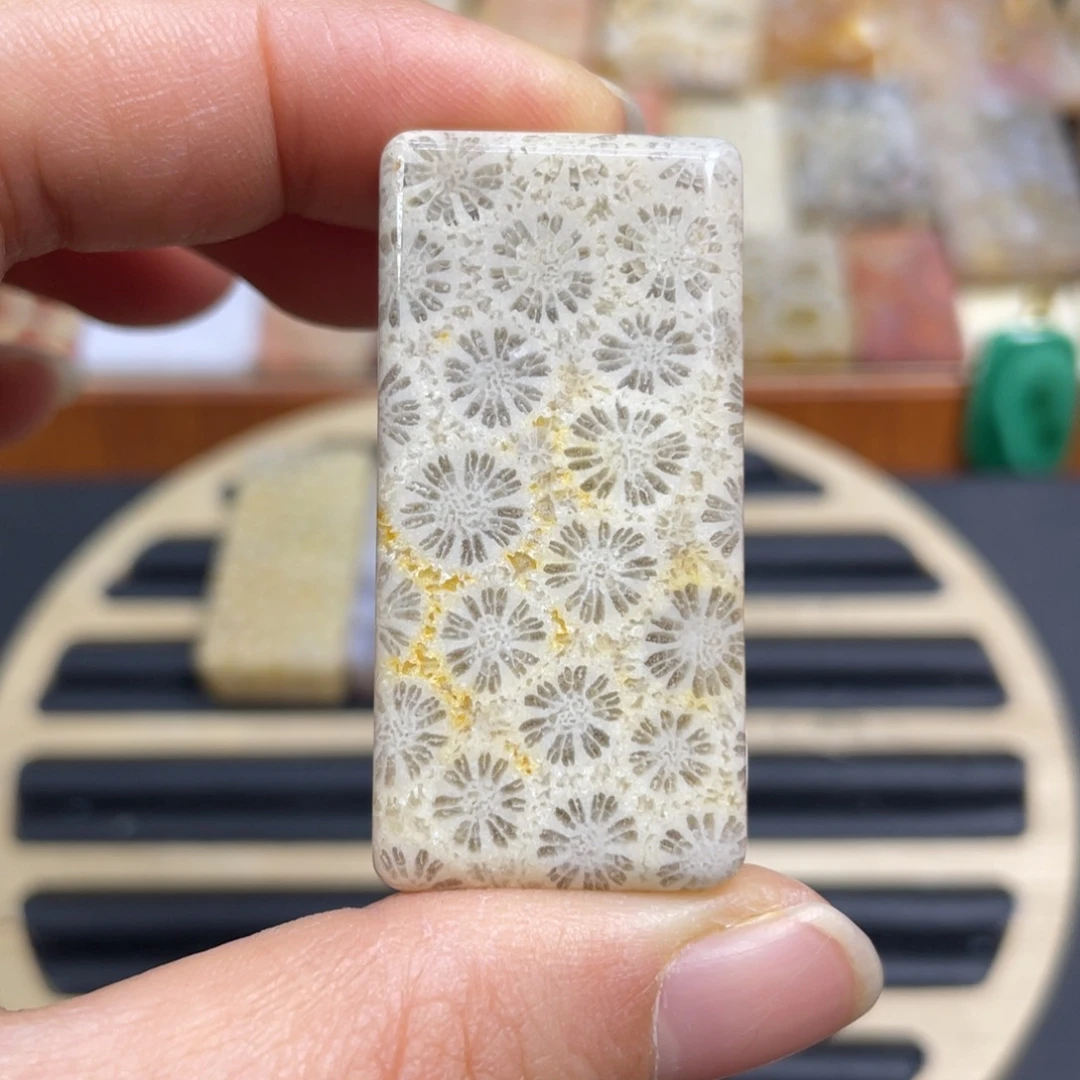 硅化玉未镶嵌颈饰k35