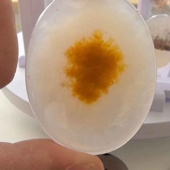 非金属时尚饰品47