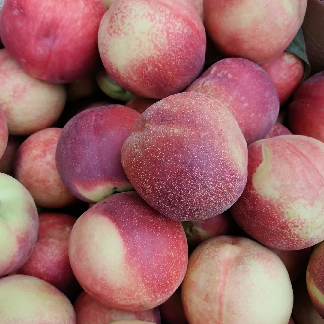 本地麻油桃16块8一公斤。新疆维吾尔自治区