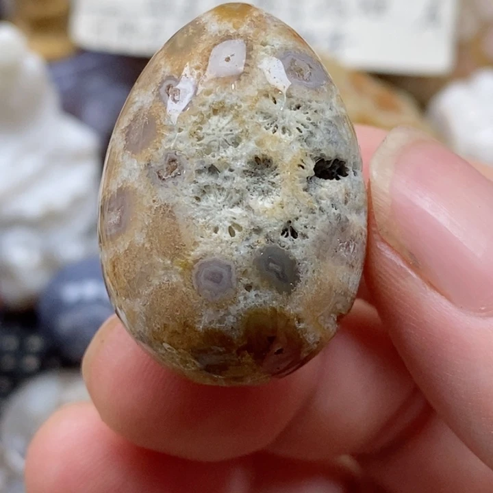 颈饰未镶嵌硅化珊瑚（珊瑚玉）有瑕