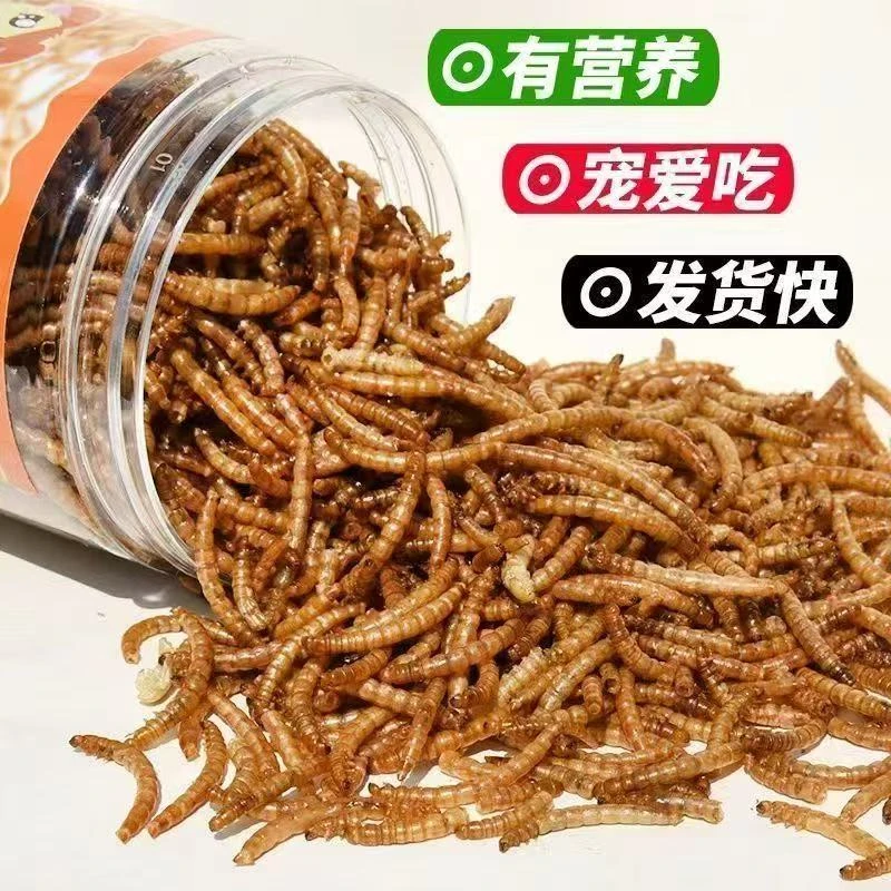 黄粉虫蛋白虫干宠物虫干仓鼠粮食八哥鸟食芦丁鸡鹦鹉饲料宠物零食