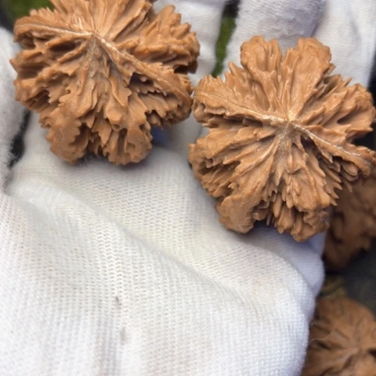 左***东把件文玩核桃秦岭核桃15