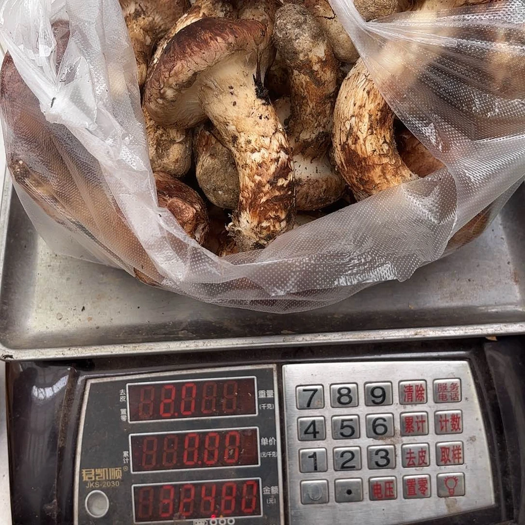 冷***人云南小表妹野生菌代购中国大陆