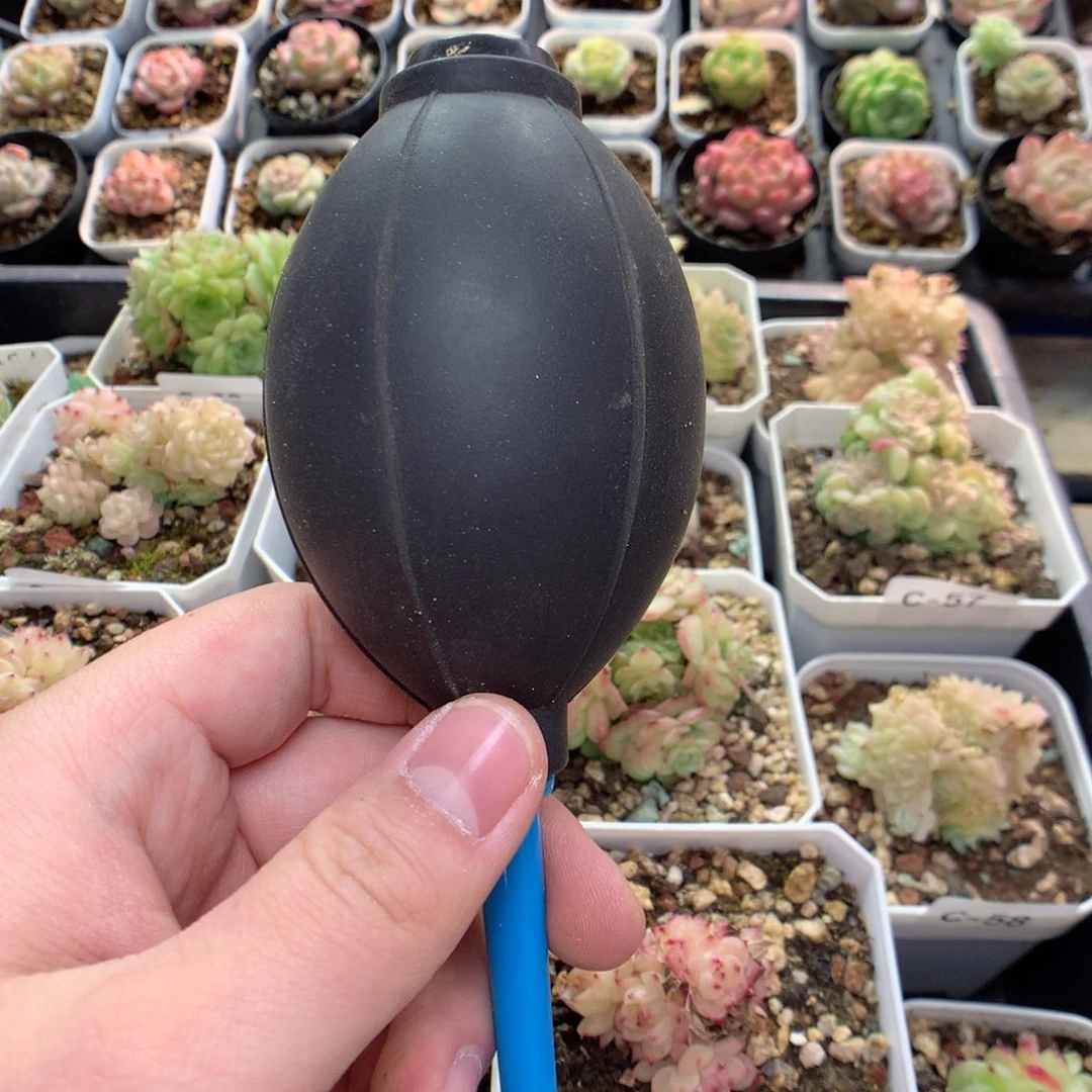 保温，箱y y y y y y y