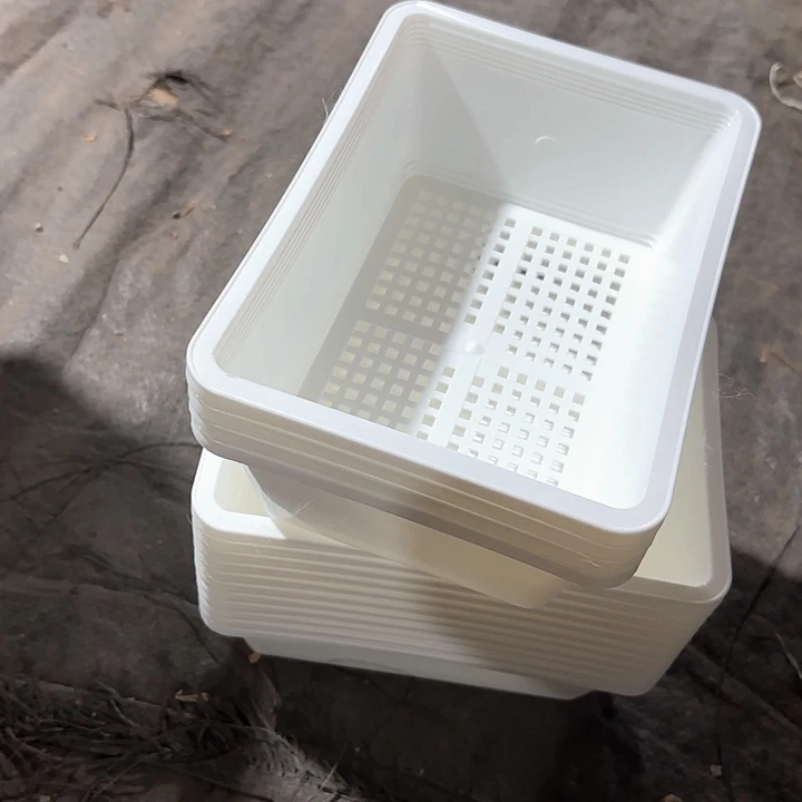 17公分白色育苗盘6个